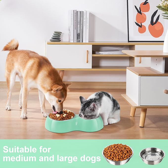 Elevated Dog Bowls Set - Non-Slip Raised Pet Feeder with Medium (2 Cups) & Large (4 Cups) Stainless Steel Bowls - Includes Durable Resin Stand for Puppies, Adult Dogs & Cats - Green-PurrikoPets
