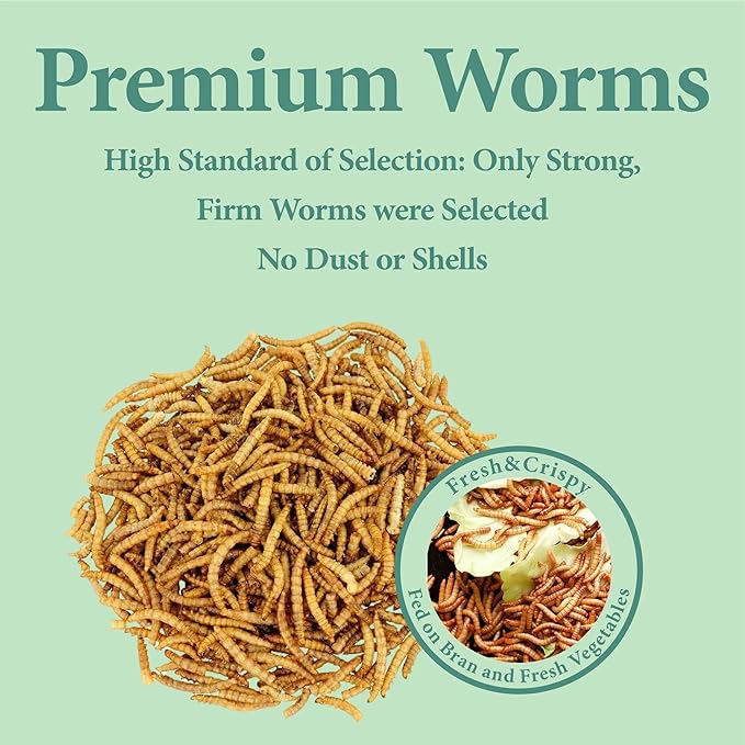 11 LBS Dried Mealworms, Non GMO, High Protein Treat for Chicken, Duck, Birds, Reptile, Hamster,Hedgehog-PurrikoPets