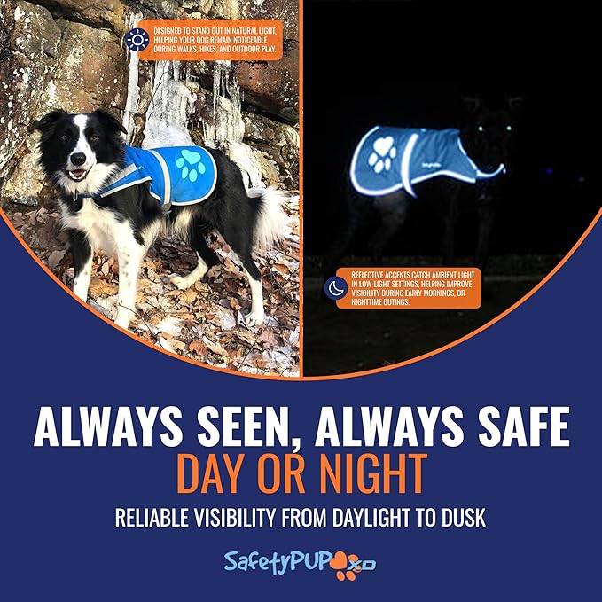 Dog Reflective Vest – Hi-Vis Fluorescent Visibility That Helps to Safeguard Your Pet On/Off Leash in Urban & Rural Areas (Blue, X-Small)-PurrikoPets