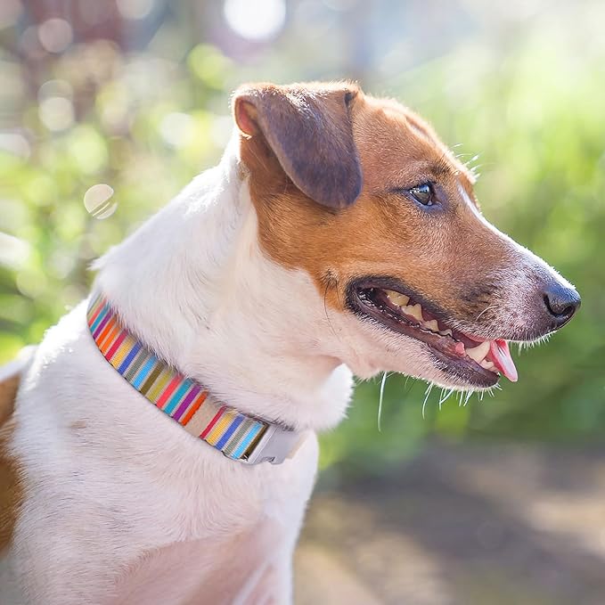 AirTag Dog Collar for Small Medium Large Breed - Adjustable Cute Pattern Dog Collar with Airtag Holder - Soft Leather Tracker GPS Apple Air Tag Pet Collars (X-Small, 9"-12" Neck Fit, Serape)-PurrikoPets