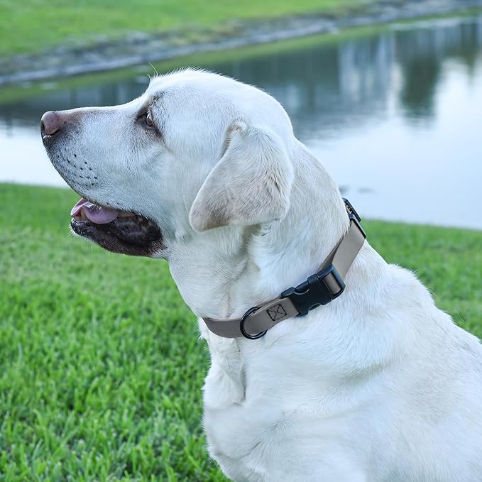 Dogline Biothane Waterproof Dog Collar with Quick Release Buckle Strong Coated Nylon Webbing with Odor- Proof for Easy Care Easy to Clean Fits Small Medium Large Dogs, Grey 3/4" W 12-19" L-PurrikoPets