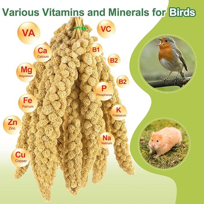 2LB Spray Millet Bird Treat for Parakeets, Natural Sun-Dried Birds Millet Spray for Parrots, Finches, Cockatiel, Budgie & Hamster, Bird Food Bulk-PurrikoPets