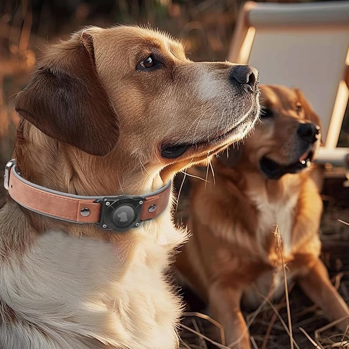 AirTag Dog Collar - Leather Dog Collar with Air Tag Holder | IPX8 Waterproof, Reflective, High - End, Adjustable Soft Padded | Dog GPS Tracker Collars Fit for Medium Large Dogs (Mahogany Brown, L)-PurrikoPets