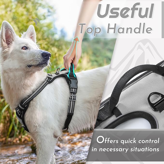 Eagloo Dog Harness Small Sized Dog, No Pull Service Vest with Reflective Strips and Control Handle, Adjustable and Comfortable for Easy Walking, No Choke Pet Harness with 2 Metal Rings, Grey, S-PurrikoPets
