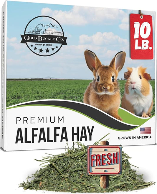 10lb Freshly Dried Organic Alfalfa Hay for Guinea Pigs, Rabbits, Chinchillas, Goats, Hamsters & Ferrets, Small Animal Food Rich in Protein & Fiber, Hand-Selected, Hand sorted, USA Grown-PurrikoPets