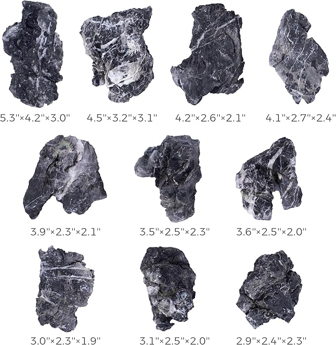 2-4 Inches Natural Seiryu Stone 10 PCS Aquarium Rocks for Aquascaping, Aquarium Landscaping, Terrariums, Fish Tank Decoration, Vivariums, Paludarium, Reptile and Amphibian Enclosures-PurrikoPets