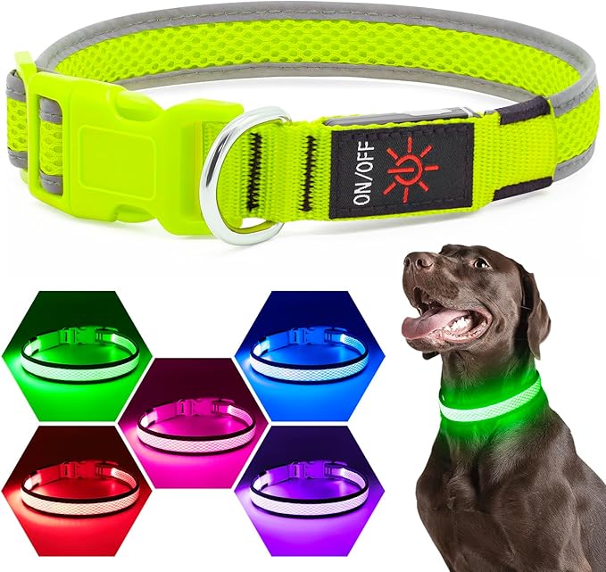 Flashseen LED Dog Collar, Light Up Dog Collar Lights USB Rechargeable, Adjustable Comfortable Soft Mesh Safety Collar for Small, Medium, Large Dogs(Large, Neon Green)-PurrikoPets
