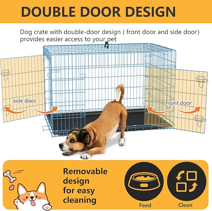 FDW Dog Crate for Medium Dogs 36 Inch Folding Metal WirePet Cage Double Door W/Divider Panel Indoor Outdoor Kennel Leak-Proof Plastic Tray,Blue-PurrikoPets