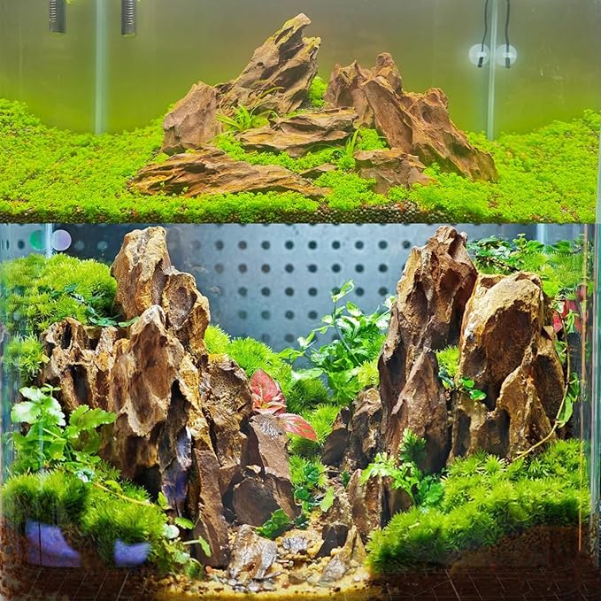 Dragon Rocks Aquarium Rock aquascaping Natural Stone Rocks Fish Tank Decor Rocks for Aquariums Landscaping Model Tank Decoration Aquarium Miniature -20Lb (2-8 inch)-PurrikoPets