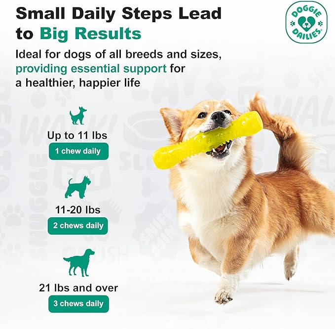 Doggie Dailies Puppy Probiotic, Probiotics for Puppies with Digestive Enzymes, Promotes Digestive Health, Supports Immune System & Overall Development (Pumpkin) 120 Soft Chews-PurrikoPets