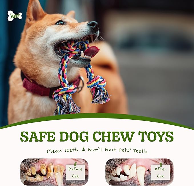 2 Pack Dog Rope Toy for Small Dogs, Puppy Teething Toys, Durable Cotton Puppy Chew Toys for Teething, Small Dog Toys for Aggressive Chewers, Interactive Tug of War Dog Toy for Puppies Boredom-PurrikoPets