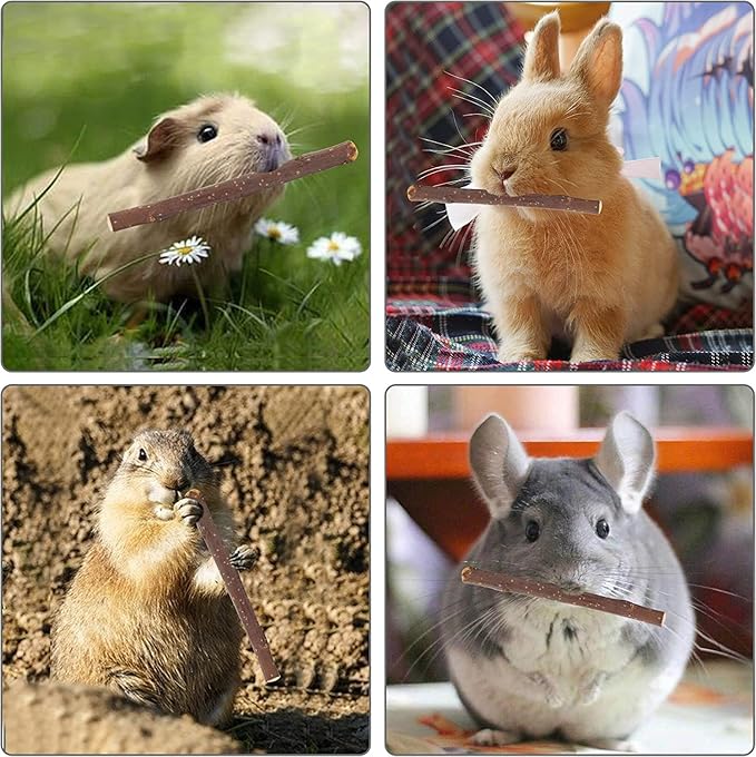 600g Apple Sticks Molar Wood Treats, Rabbit Toys Chinchilla Guinea Pig Bunny Toys Wood Chews Sticks for Teeth Rabbit Food Guinea Pig Hamster Gerbil Chews Small Animals Snacks(150 Pcs)-PurrikoPets