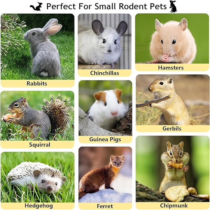 600g Organic Apple Sticks Small Animals Molar Wood Treats Toys for Chinchillas Guinea Pig Rabbits Hamster Gerbil Parrot Bunny Chew Stick Toys, 21.2 OZ-PurrikoPets