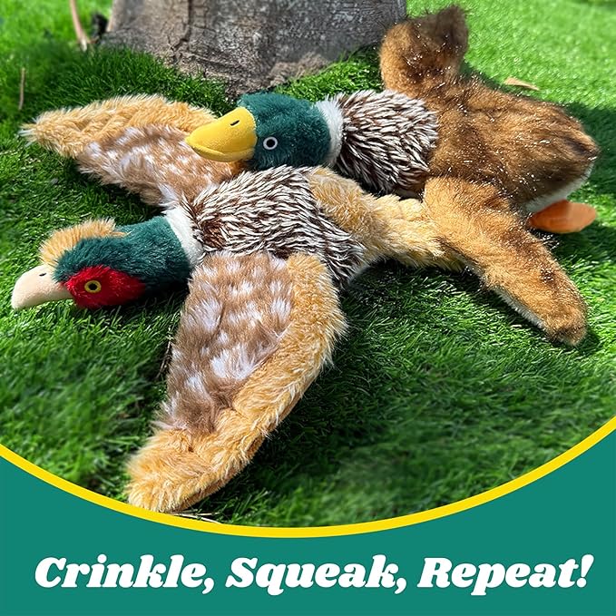 2 PCS Mallard Duck Dog Toys Squeaky D og Toy ,Stuffed Pheasant Do g Chew Toys Plush Mallard Duck Do g To y Interactive Do g Toys to Keep Them Busy , Pheasant Dog To y for Small Middle and Large Dogs-PurrikoPets