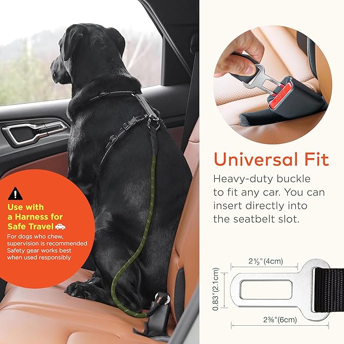 Dog Seat Belt for Car | Universal Dog Car Seatbelt | Durable Reflective Rope with Clip Hook Latch, Buckle and Carabiner- Safe and Secure Pet Safety Restraint (Army Green)-PurrikoPets