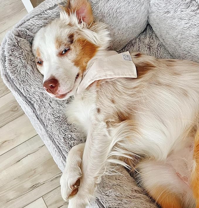 FUZI Luxury Aesthetic Dog Bed with Extra Cover for Small Dogs, Washable Pet Couch, Pet Bed with Sides, Non-Slip Bottom, Soft & Durable Calming Dog Bed, Faux Rabbit Fur, Small 25.1x16.75x9.5 Soft White-PurrikoPets