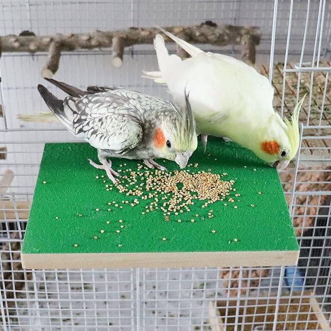 7.9×5.9 Inches Large Bird Perch Stand Platform, Natural Wooden Bird Cage Accessories, Bird Stand Perch with Rough Quartz Sand Surface for Parrot, Parakeet, Budgies, Cockatiel, Rats-PurrikoPets