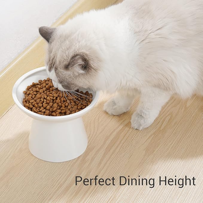 Extra Wide Elevated Ceramic Cat Bowl - 6.2" Shallow Dish for Whisker Fatigue Relief, 5" Height for Easy Feeding, Lead & Cadmium Free, Durable Raised Cat Food Bowls, White-PurrikoPets