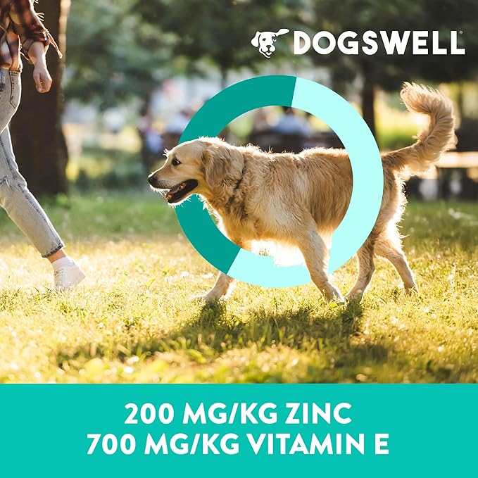 DOGSWELL Jerky Treats for Dogs, Skin and Coat Salmon Recipe 18 oz., 29235-PurrikoPets