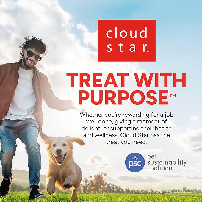 Dogswell Skin & Coat Mini Jerky Dog Treats, Salmon, 4 oz. Bag-PurrikoPets