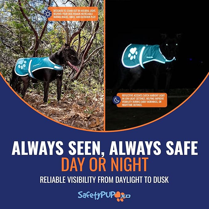 Dog Reflective Vest – Hi-Vis Fluorescent Visibility That Helps to Safeguard Your Pet On/Off Leash in Urban & Rural Areas (Teal, X-Large)-PurrikoPets