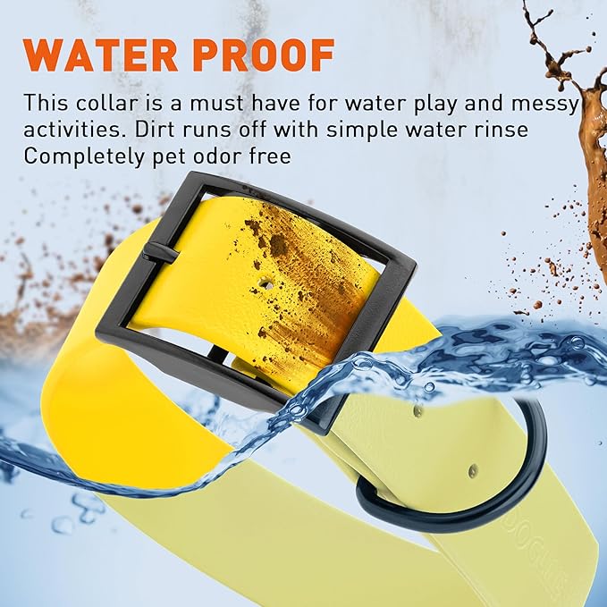 Dogline Biothane Waterproof Dog Collar Strong Coated Nylon Webbing with Black Hardware Odor- Proof for Easy Care Easy to Clean High Performance Fits Small Medium or Large Dogs, Lemon Yellow-PurrikoPets