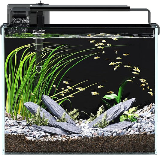 3 Gallon Fish Tank Aquarium Kit with Filter, LED Light with Timer, Siphon Vacuum Cleaner, Lid, Self-Cleaning Glass Rimless Betta Tank-PurrikoPets