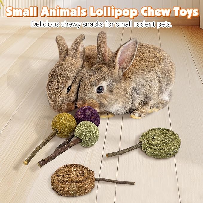 Fhiny Rabbit Chew Toys, 15 PCS Natural Bunny Lollipop Chew Sticks Handmade Guinea Pig Molar Treats for Teeth Small Animals Snacks for Guinea Pig Bunny Chinchilla Hamster Gerbil Teeth Care-PurrikoPets