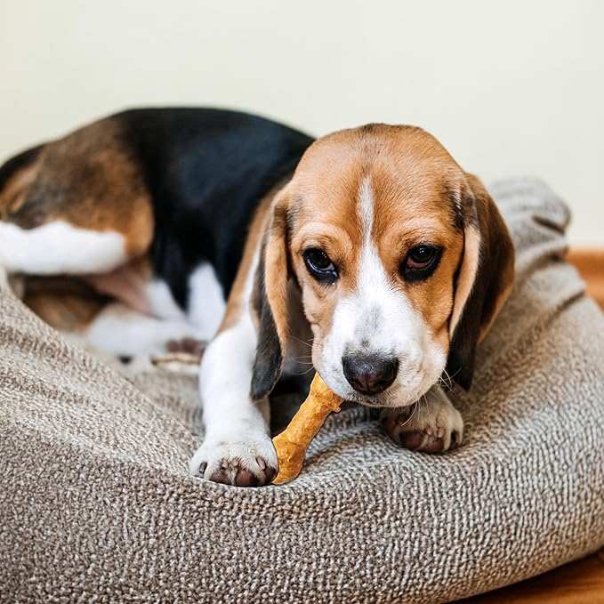 Fieldcrest Farms Nothin' to Hide 3 inch Ultra Knotted Bone Treats - Natural Rawhide Alternative Treats for Dogs, Collagen Based Snack for Heavy Chewers up to 15lbs - Beef Flavor, 12 Pack-PurrikoPets