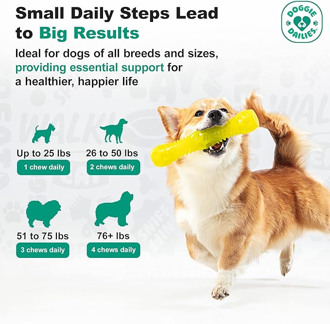 Doggie Dailies Cranberry Supplement for Dogs - Urinary Tract, Bladder & Kidney Support for Dogs - Cranberry for dogs with Marshmallow Root, Licorice Root & Apple Cider Vinegar (Chicken) 225 Soft Chews-PurrikoPets