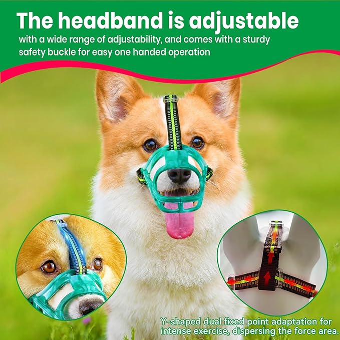 Dog Muzzle, Basket Muzzle for Small Medium Large Dogs, Anti-Biting and Chewing, Lightweight & Sturdy Cage Design, Allows Panting & Drinking, Ideal for Grooming & Training(Green Size M)-PurrikoPets