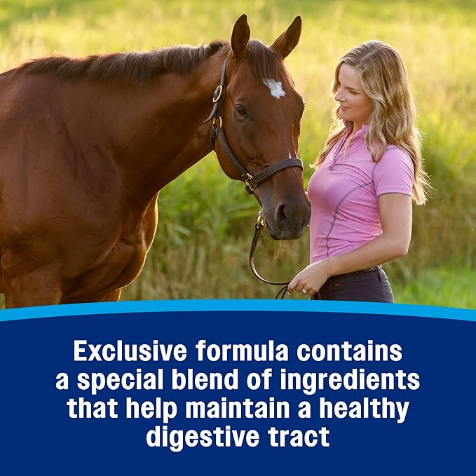 Farnam Hindgut Stabilizer Pellets, Daily Digestive & Immune Supplement for Horses Helps Maintain a Balanced Microbiome for Optimal Digestion-PurrikoPets