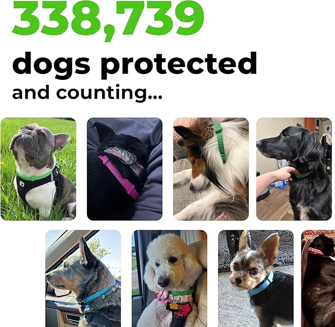 FurLife Flea and Tick Collar for Dogs – Waterproof Green Dog Collar, Pet Supplies for Tick and Flea Prevention for Dogs, Safe for All Breeds-PurrikoPets