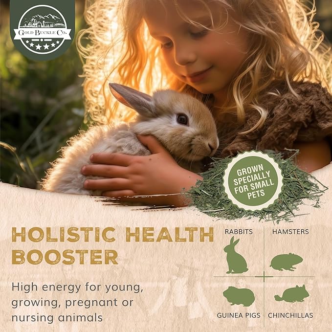 40lb Freshly Dried Organic Alfalfa Hay for Guinea Pigs, Rabbits, Chinchillas, Goats, Hamsters & Ferrets, Small Animal Food Rich in Protein & Fiber, Hand-Selected, Hand sorted, USA Grown-PurrikoPets