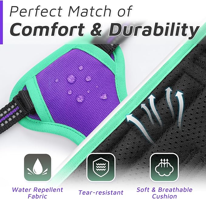 Eagloo Small Dog Harness No Pull, Service Vest with Reflective Strips and Control Handle, Adjustable and Comfortable for Walking, No Choke Pet Harness with 2 Metal Rings, Purple & Green, XS-PurrikoPets