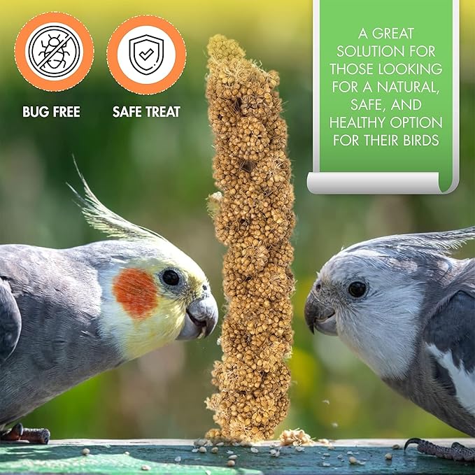 5LBS GMO-Free Sun Dried Spray Millet - Original Bird Treat Millet for Parakeets, Cockatiels, Finches & More - Non-GMO, High in Amino Acids, Easy Storage, Tasty & Healthy Bird Snacks (5 lbs)-PurrikoPets