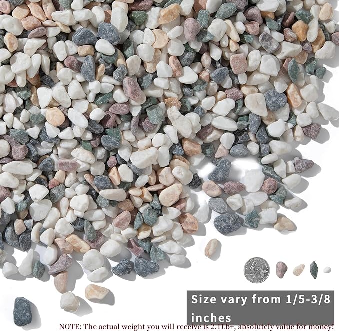 2lb Succulent and Cactus Gravel Pebbles 1/5-3/8 Inch Natural Decorative Polished Stones River Rocks for Plants, Vases, Aquariums, Terrarium and Outdoor Gardening, Mixed Color-PurrikoPets