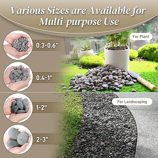 5 lbs Mexican Beach Pebbles, 0.4-1 Inch Natural River Rocks for Indoor Plants Vase Fish Tank Aquarium Fountain, Decorative Stone for Landscaping Garden Paving Walkways Backyard, Grey-PurrikoPets