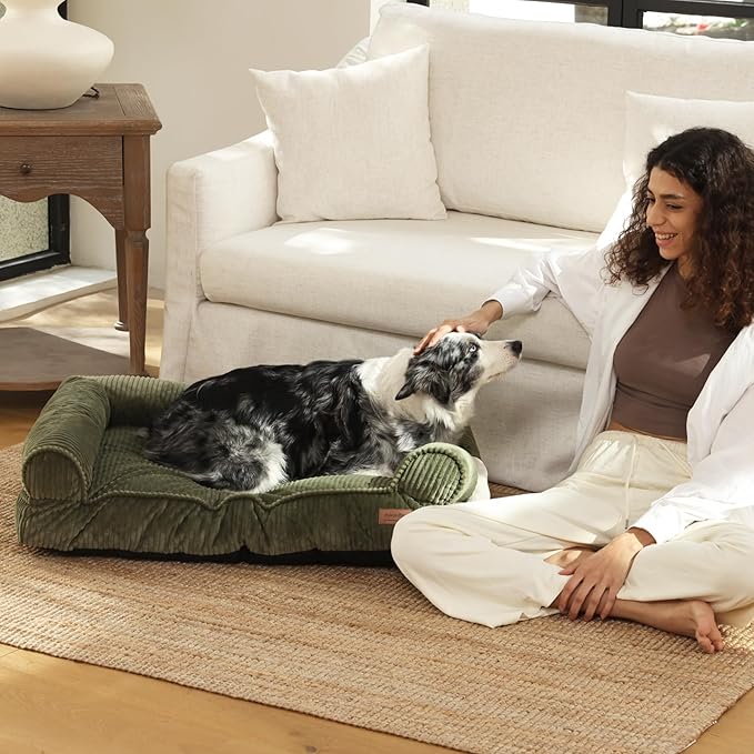 FUKUMARU Cute Dog Bed, Fluffy Dogs Couch with TPU Layer Keeping Lining Dry, Pet Sofa Medium Size Dog Easy to Care, Warm Cat Bed with Removable Zipper Cover, 36inch, Large, Green-PurrikoPets