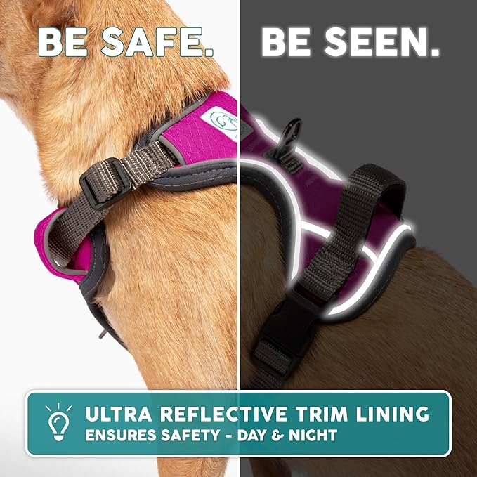 Embark Adventure Dog Harness, Reflective Trim No Pull Dog Harness for Large Dogs - Military Grade Nylon, Front Clip with Gel Lined Handle.-PurrikoPets