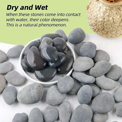 7LB River Rocks,Mexican Beach Pebbles for Plants,Potting,Garden Landscape Stone Paving Stone Grey 1Inch - 2Inch-PurrikoPets