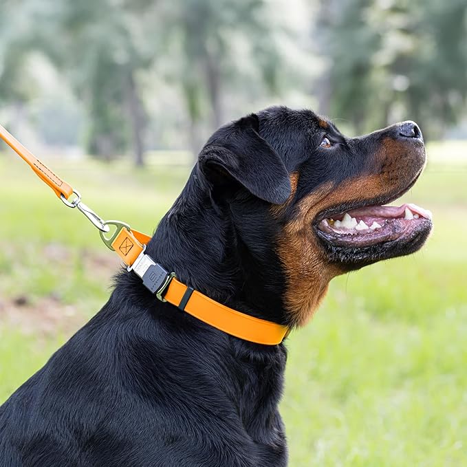 Dogline Biothane Waterproof Dog Collar with Herm Sprenger Black Stainless Steel Quick Release Buckle – Heavy Duty Tactical Durable Collar for Dogs – Comfortable Pet Collar W3/4" L12-19 Tangerine-PurrikoPets