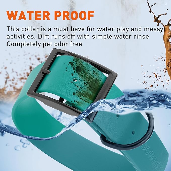 Dogline Biothane Waterproof Dog Collar Strong Coated Nylon Webbing with Black Hardware Odor- Proof for Easy Care Easy to Clean High Performance Fits Small Medium or Large Dogs, Blue Aqua-PurrikoPets