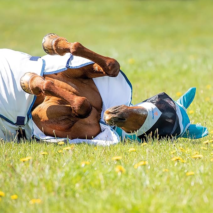 FLYGUARD FINE MESH Fly MASK with Ears (XS Pony, Teal)-PurrikoPets