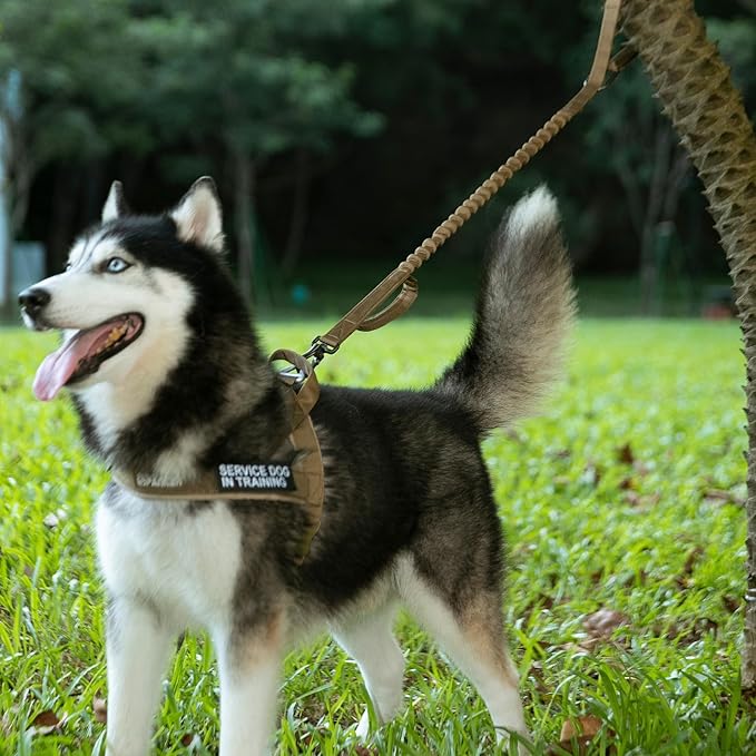 Excellent Elite Spanker Tactical Bungee Dog Leash Military Adjustable Dog Leash Quick Release Elastic Leads Rope with 2 Control Handle(Ranger Green)-PurrikoPets