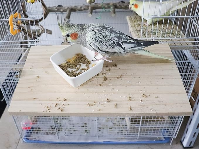 13.6×7.9 Inches Large Bird Perch Stand Platform, Natural Wooden Small Animals Cage Accessories, Rectangle Stand Perch Shelf for Parrot Parakeet Cockatiel Rat Hamster Guinea Pig Conure Chinchillas-PurrikoPets