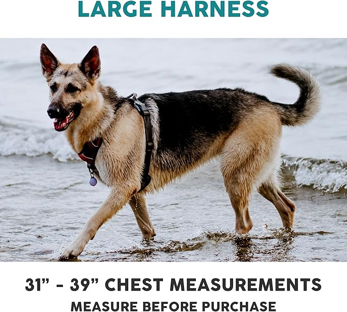 Embark Adventure Dog Harness, Reflective Trim No Pull Dog Harness for Large Dogs - Military Grade Nylon, Front Clip with Gel Lined Handle. Soft & Padded Puppy-PurrikoPets