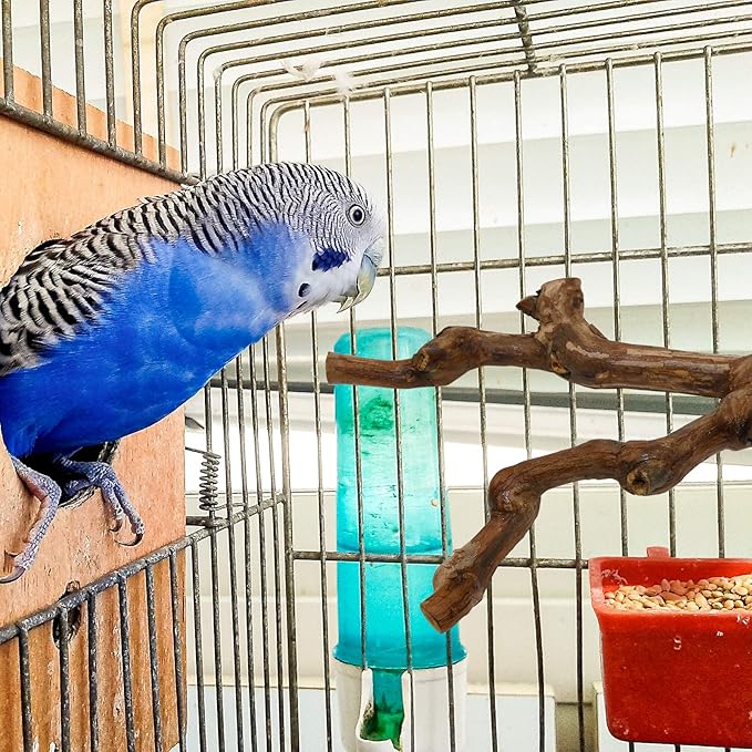 2 Packs Parrot Bird Perches,Natural Wild Grape Stick Grinding Paw Climbing Standing Cage Accessories Toy for 3-4 Parakeets, Budgies, Lovebirds,Cockatiels (Style-1)-PurrikoPets