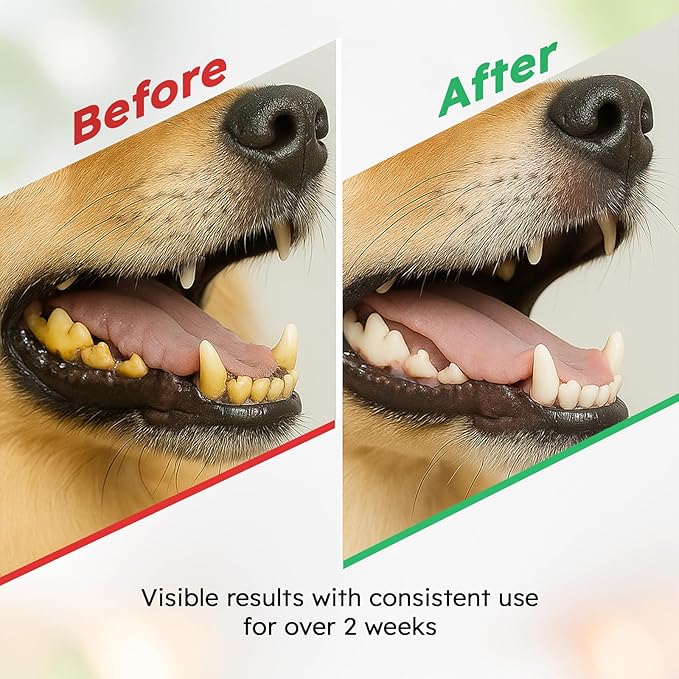 Dog Teeth Cleaning Powder - Dog Breath Freshener + Dental Care for Doggies & Cats + Tartar Remover for Teeth with Natural Ingredients + Probiotics Blend (Mint - 100g)-PurrikoPets