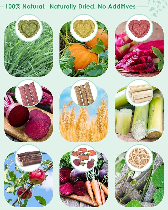 ERKOON 33PCS Bunny Chew Toys for Rabbits Teeth, Natural Rabbit Toys Apple Wood Sticks, Carrot, Timothy Grass Toys for Small Pets, Hamster, Chinchilla, Guinea Pig Dental Care and Treat Teething Toys-PurrikoPets